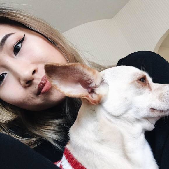 tiffachoi
